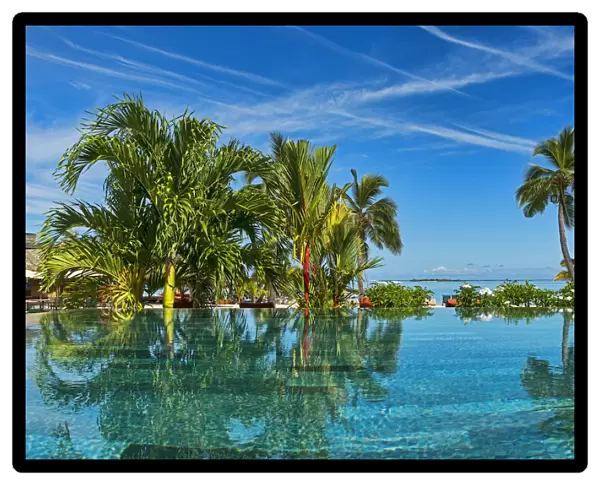 Lush vegetation by the water, Moorea, French Polynesia
