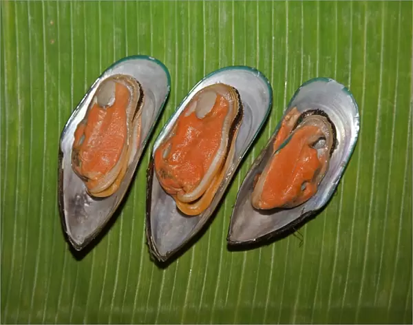 Cooked New Zealand green-lipped mussels -Perna canalicula- from New Zealand lying on a banana leaf