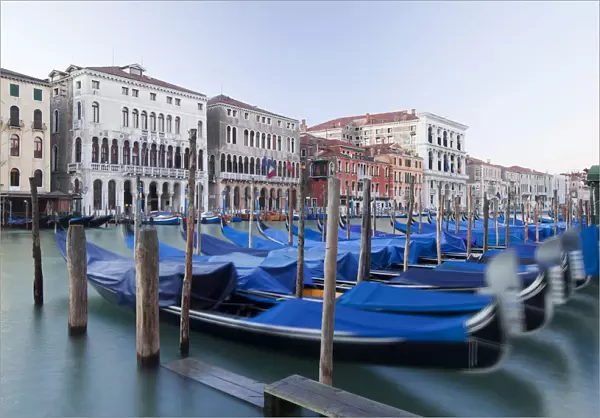 Grand Canal, Canal Grande, with boats in the morning, Venice, Venezien, Italy