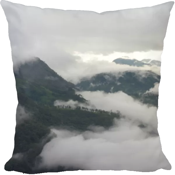 Mountains streaked with fog, Dalhousie, Nuwara Eliya, Zentrales Hochland, Sri Lanka