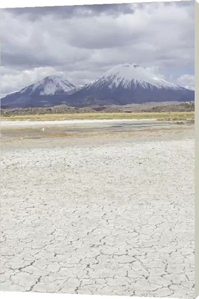 Dried up salt lake with the volcanos Parinacota, left, and Pomerape, right, Putre, Arica and Parinacota Region, Chile
