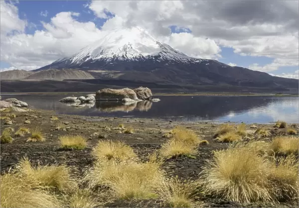 Lake Chungara and the Parinacota volcano, Putre, Arica and Parinacota Region, Chile