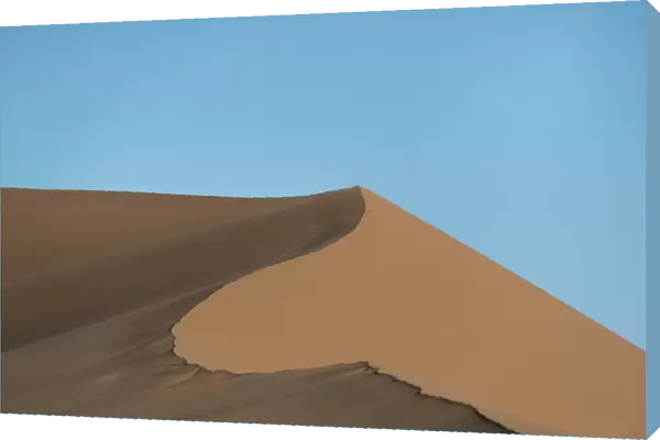 Dune landscape, Sossusvlei, Namib Naukluft Park, Namibia