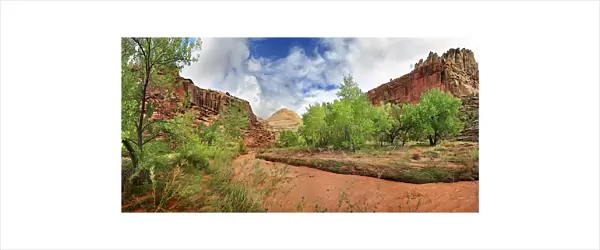 Fremont River coloured red from mud with green leafy trees after a storm, Capitol Reef National Park, Fruita, Utah, United States