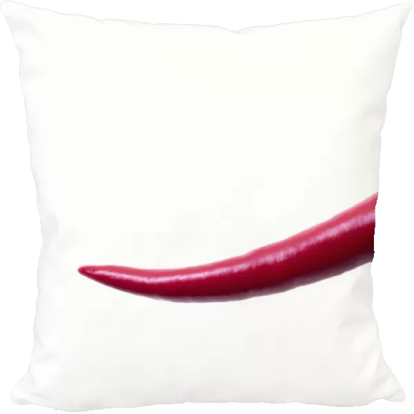 Red Chili Pepper -Capsicum-