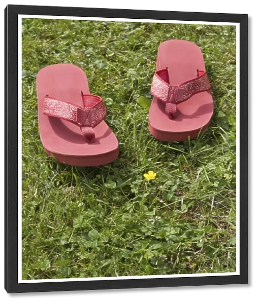 Flip flops on grass