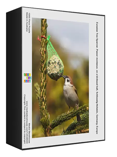 Eurasian Tree Sparrow -Passer montanus- on a birdseed ball, Schleswig-Holstein, Germany, Europe