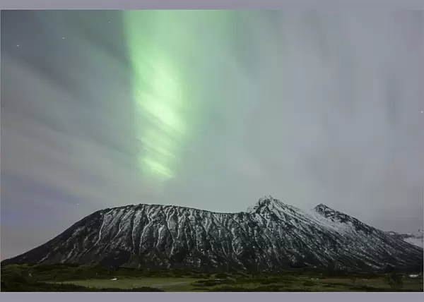Northern lights, aurora borealis, during an overcast sky, Lofoten, Norway