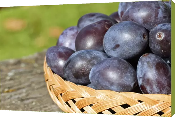 Plums in a basket