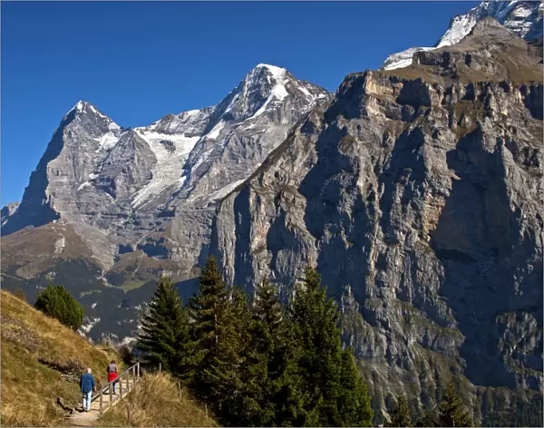 Hikers at the foot of Eiger and Moench Mountains and Eiger glacier, Murren, Bernese Oberland, Canton of Bern, Switzerland