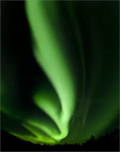 Swirling northern polar lights, Aurora Borealis, green, near Whitehorse, Yukon Territory, Canada