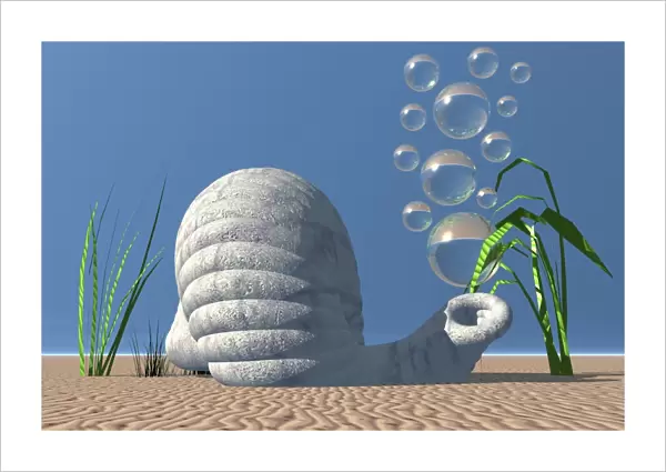 Snail shell and bubbles, 3D computer graphics