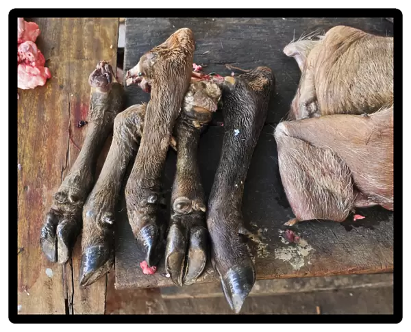 Buffalo hooves, delicacy, market, Vietnam, Asia