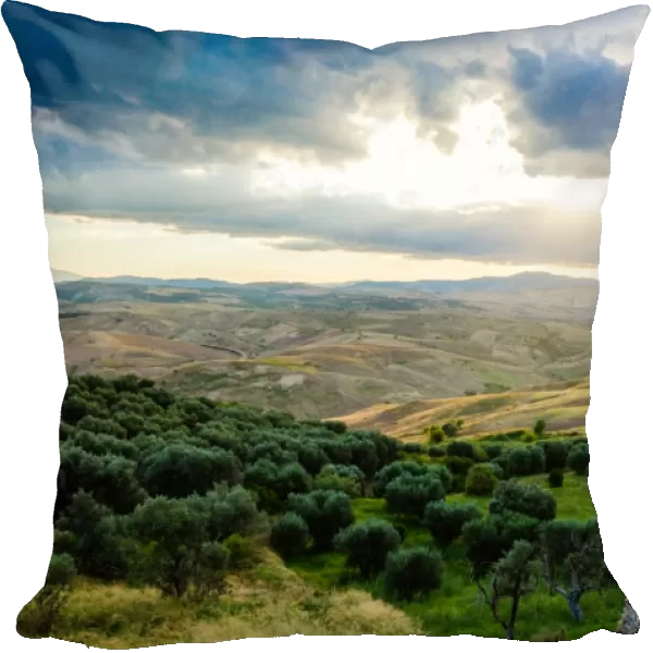 Hills of Basilicata