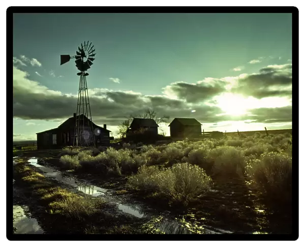Abandoned homestead with windmill at sunrise