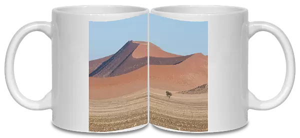 Sand dunes in Sossuvlei. Namib Desert, Namibia