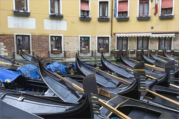Gondolas moored in Grand Canal. Venice, Veneto, Italy