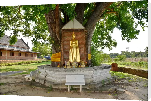 Standing Buddha statue Wat Phukhao Thong temple Ayutthaya Thailand