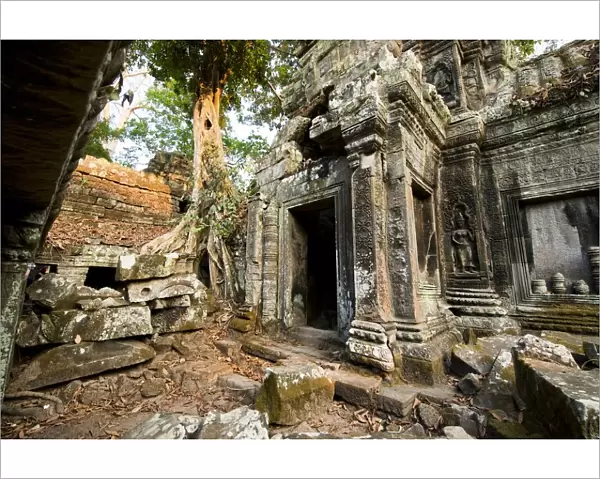 Ta Prohm temple, Angkor Wat, Siem Reap