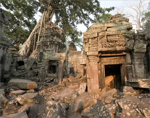 Ta Prohm Temple, Angkor Wat