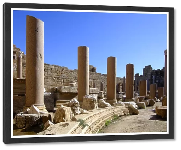 Columns, Severan basilica, Ruins of the Roman City Leptis Magna, Libya