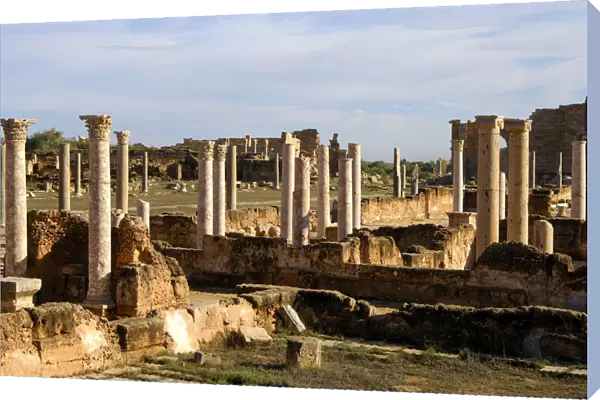 Ancoient columns, Leptis Magna, Libya