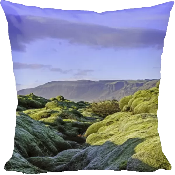 Moss covered lava fields
