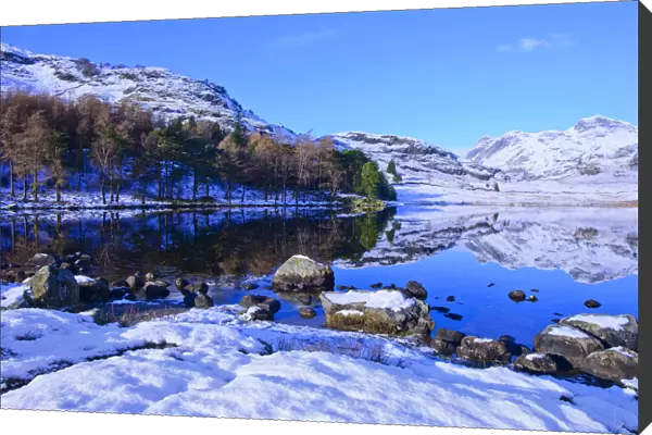 Lake in Winter with a mirror reflection