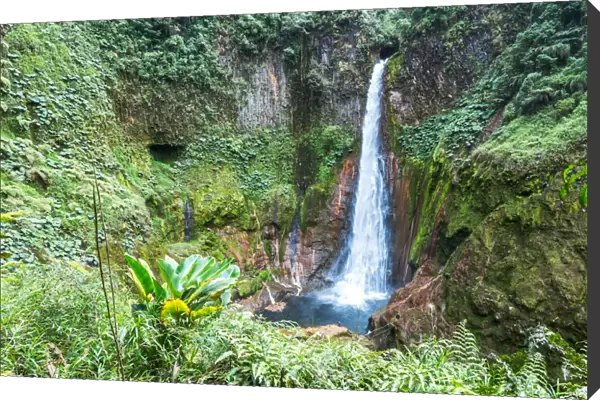 Toro waterfalls in the green tropical forest of Costa Rica