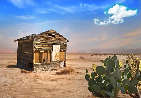 Abandoned Shack in Desert with Prickly Pear Cactus in Foreground