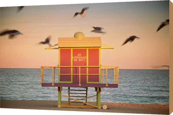 USA, Florida, Miami, South Beach, gulls flying over lifeguard hut