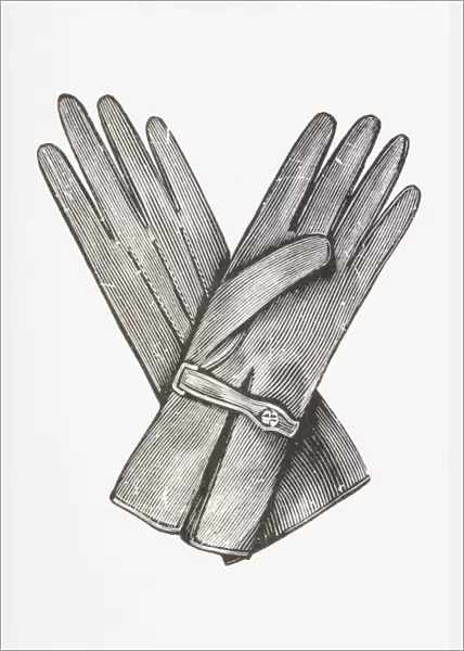 Black and white illustration of pair of ladies gloves