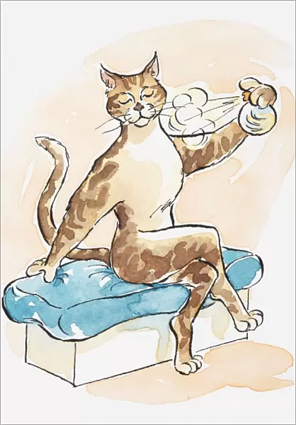 Illustration, cartoon of a cat spraying its territory with urine