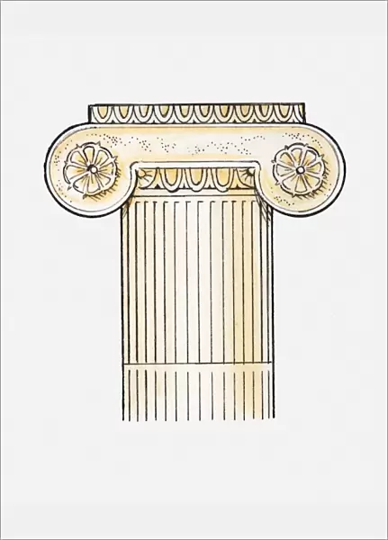 Illustration of Ionic column