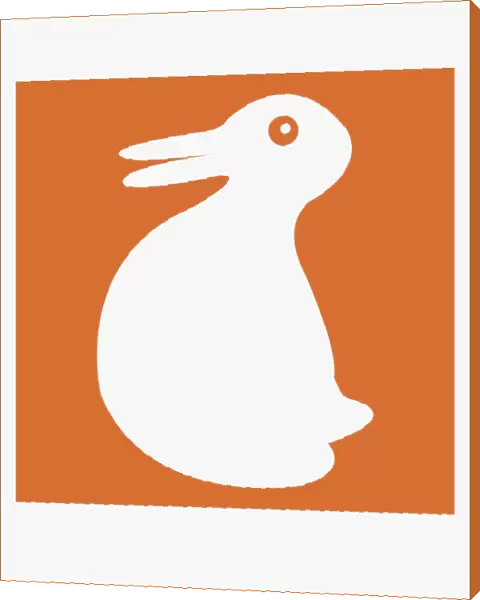 Digital illustration of white duck on orange background