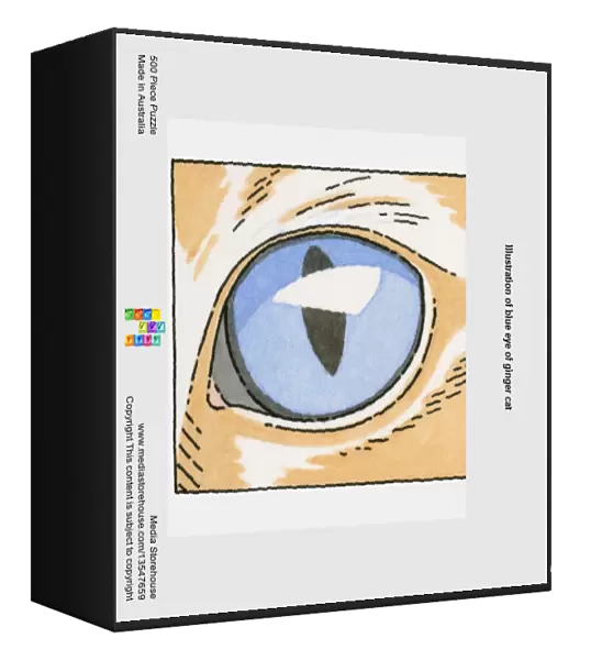 Illustration of blue eye of ginger cat