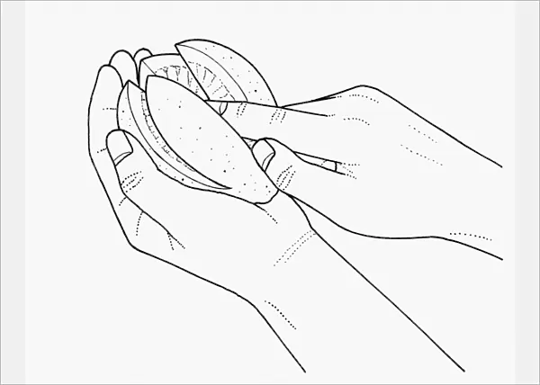 Black and white illustration of rubbing salt into lemon slices to preserve