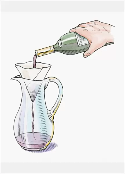 Illustration of decanting red wine into glass jug