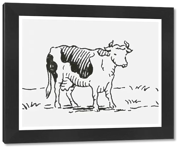 Black and white digital illustration of Friesian cow
