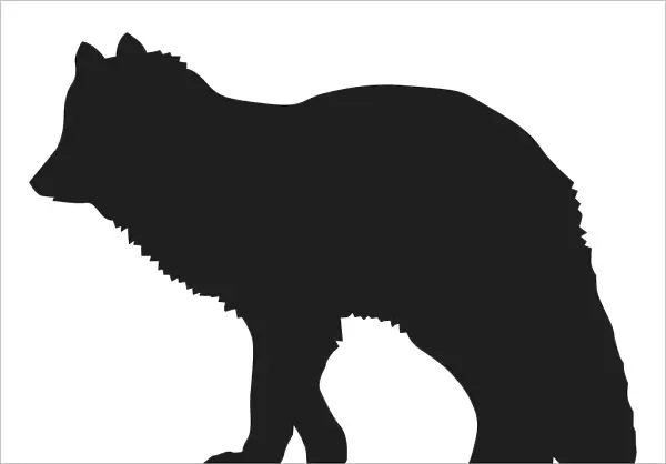 Black and white digital illustration of Arctic Fox (Vulpes lagopus)