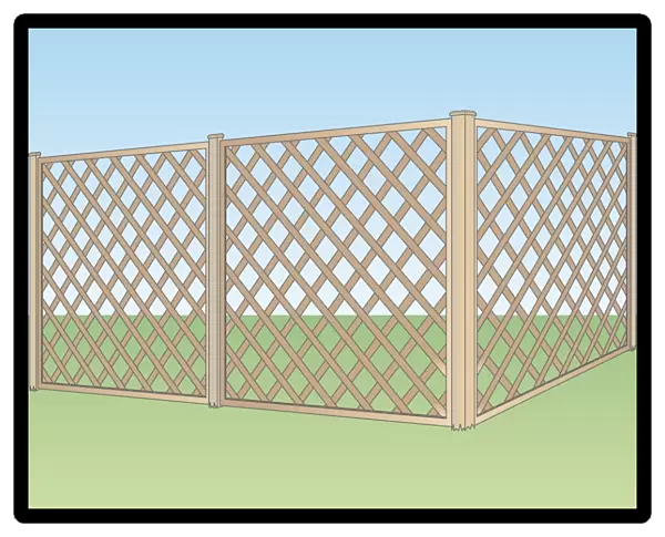 Digital illustration of lattice garden fence