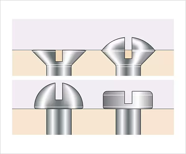 Digital illustration countersunk, raised, round, and pan screw, heads