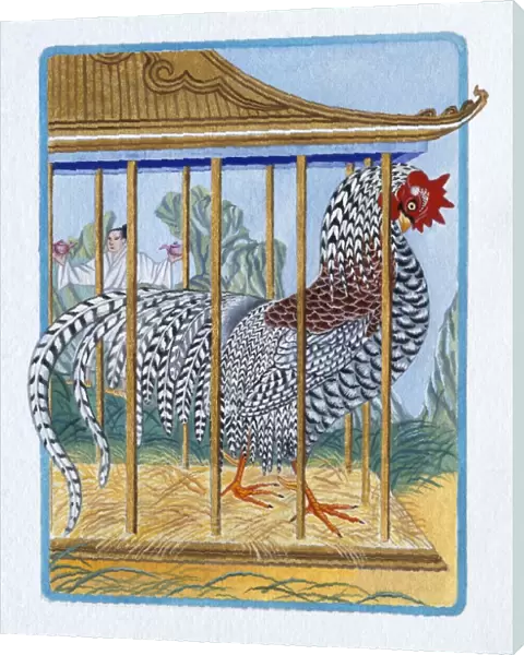 Illustration of Rooster in the Cage, representing Chinese Year Of The Rooster