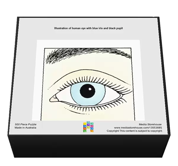 Illustration of human eye with blue iris and black pupil
