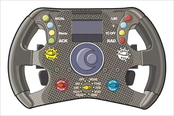 Racing car steering wheel