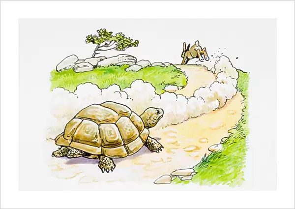 Rabbit running away from tortoise
