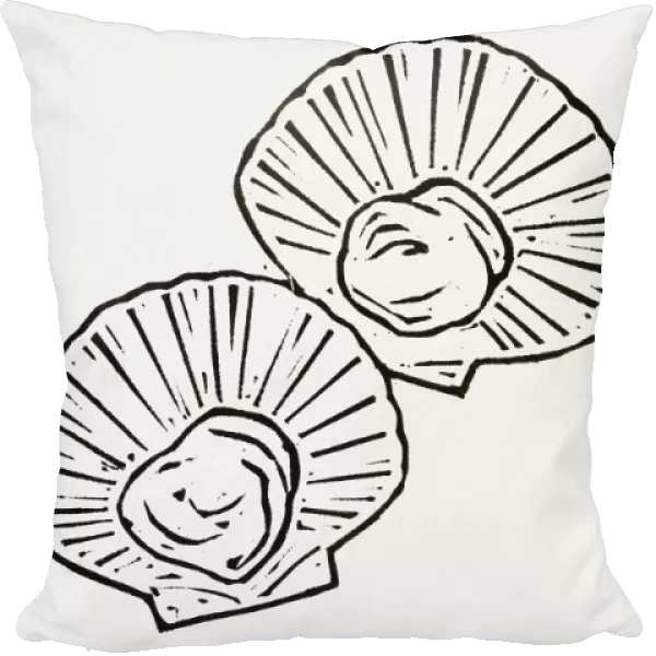 Black and white illustration of scallops