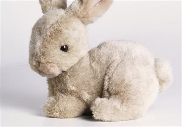 Rabbit cuddly toy