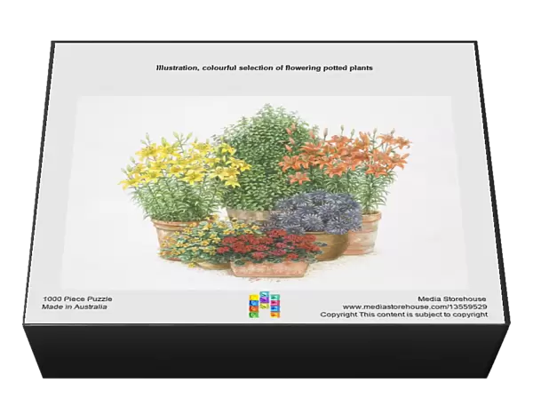 Illustration, colourful selection of flowering potted plants