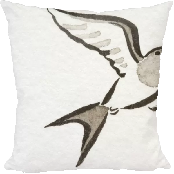 Illustration, Barn Swallow (Hirundo rustica) soaring, low angle view